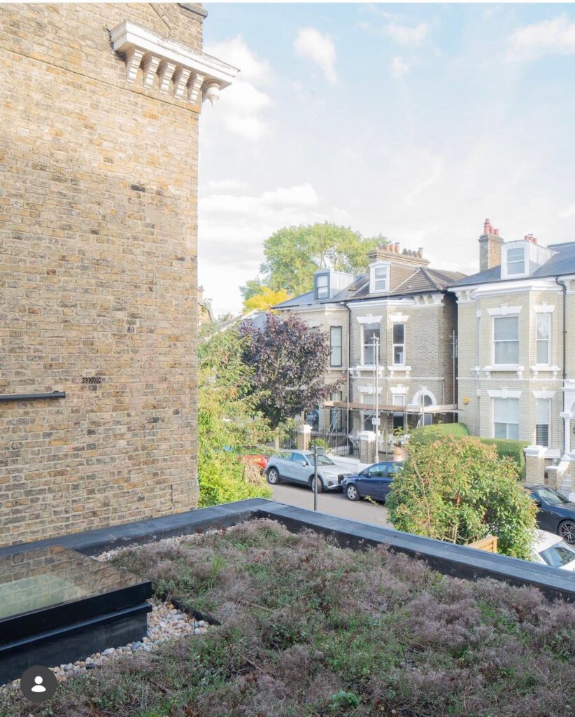 Living roof detail installed as part of the Wandle Road residential extension project in Wandsworth SW17
